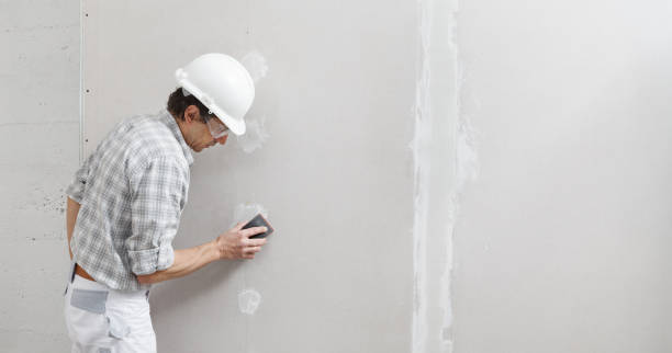 Best Water-Damaged Drywall Repair  in USA